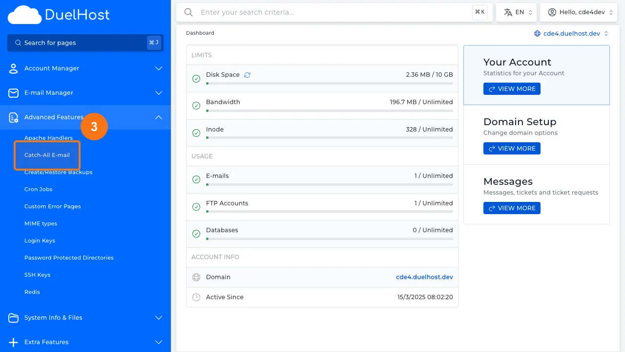 Trin 3: Klik på "Catch-All E-mail"