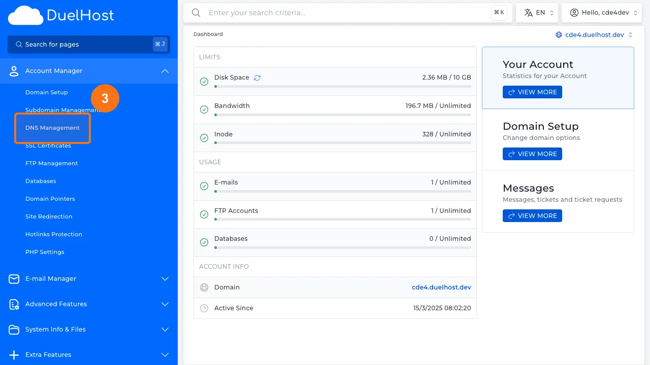 Trin 3: Klik på "DNS Management"