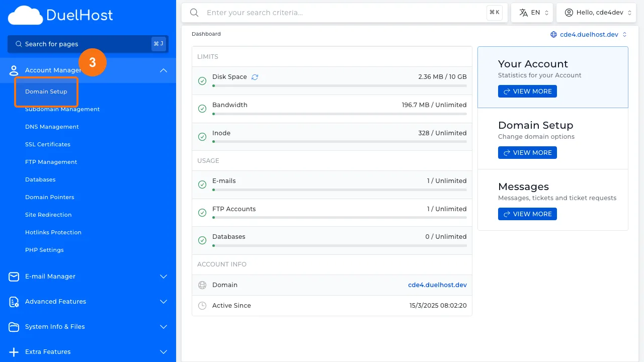 Trin 3: Klik på "Domain Setup" for at se domæneoversigten