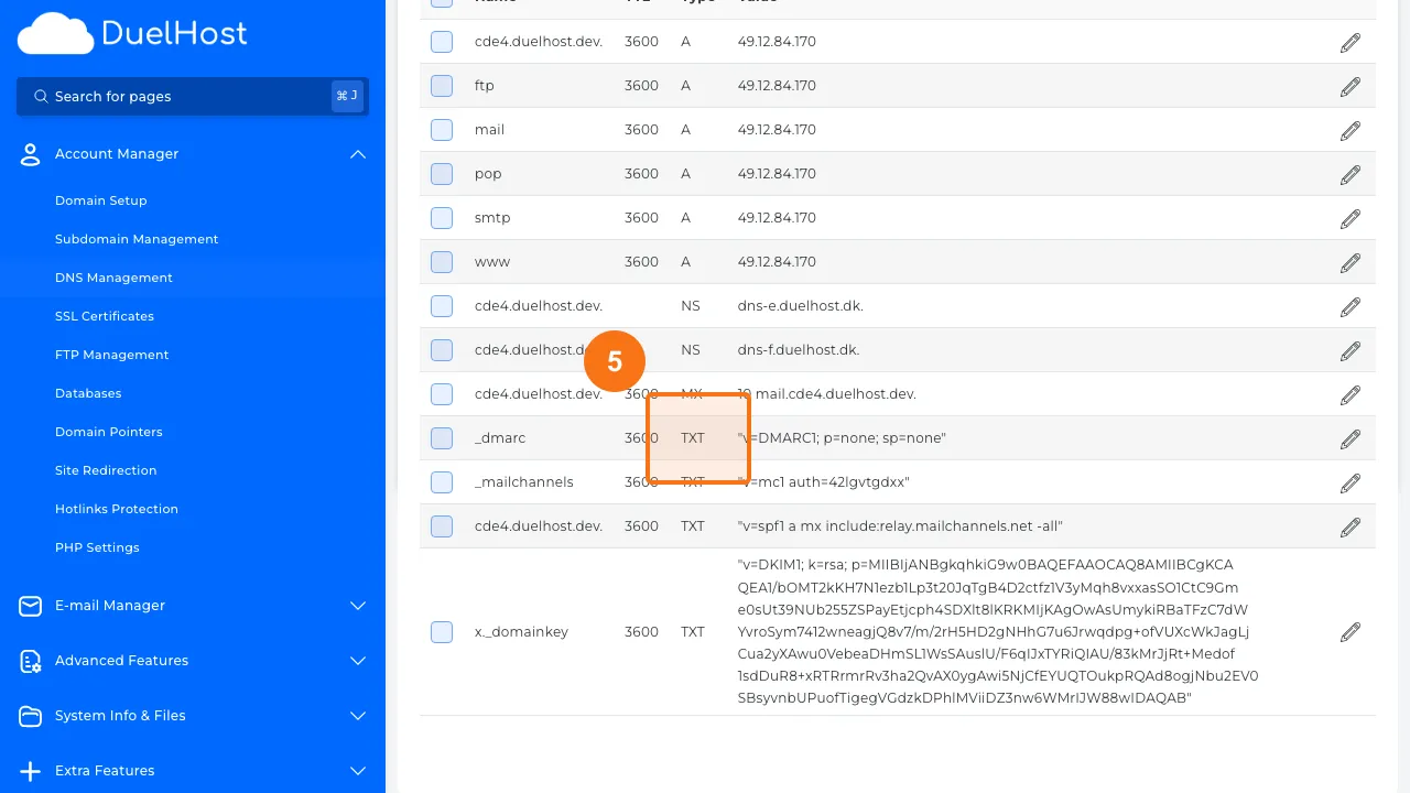 Trin 5: Tjek TXT-records for SPF (v=spf1 ...) og DMARC (_dmarc)